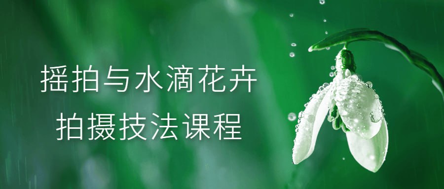 摇拍与水滴花卉拍摄技法课程插图 摇拍与水滴花卉拍摄技法课程