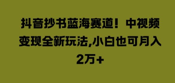 【抖音抄书蓝海赛道】中视频变现全新玩法,小白也可月入2W+插图 【抖音抄书蓝海赛道】中视频变现全新玩法,小白也可月入2W+