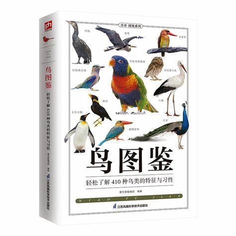 《鸟类百年图鉴》插图 《鸟类百年图鉴》