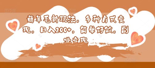 【薅羊毛新玩法】多种方式变现,日入200+,简单好做,副业变现插图 【薅羊毛新玩法】多种方式变现,日入200+,简单好做,副业变现