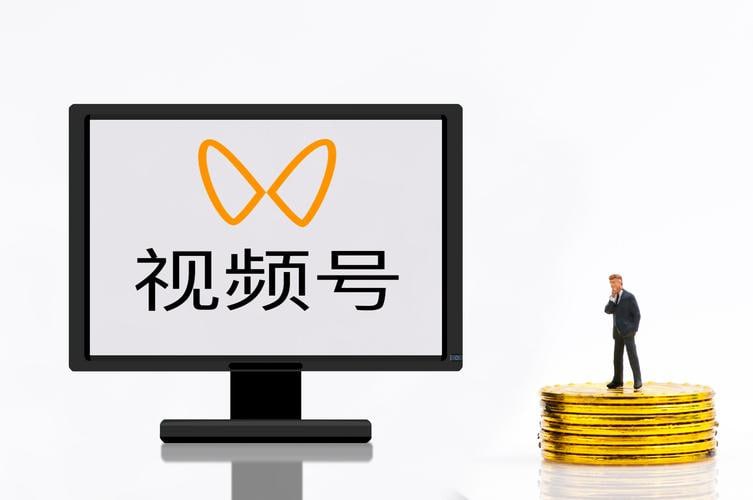零基础入门视频号短视频变现:专为新人打造的变现课程插图 零基础入门视频号短视频变现:专为新人打造的变现课程