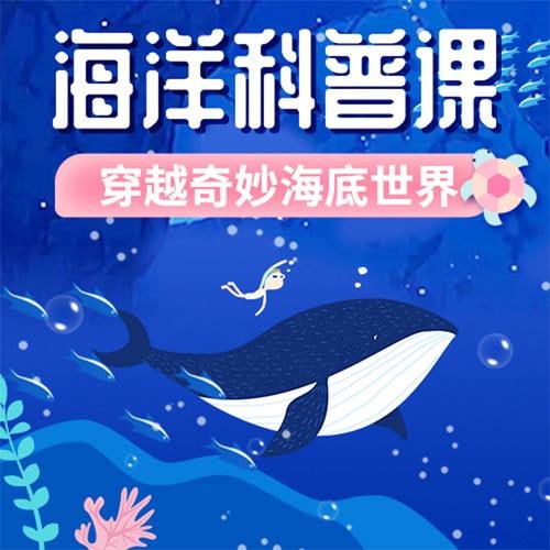 小灯塔少儿动画-海洋科普课-穿越奇妙海底世界(全)插图 小灯塔少儿动画-海洋科普课-穿越奇妙海底世界(全)