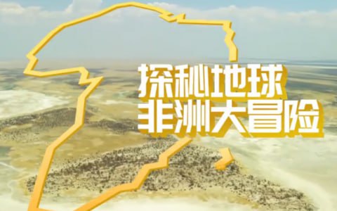 小灯塔少儿动画-非洲大冒险(全)插图 小灯塔少儿动画-非洲大冒险(全)