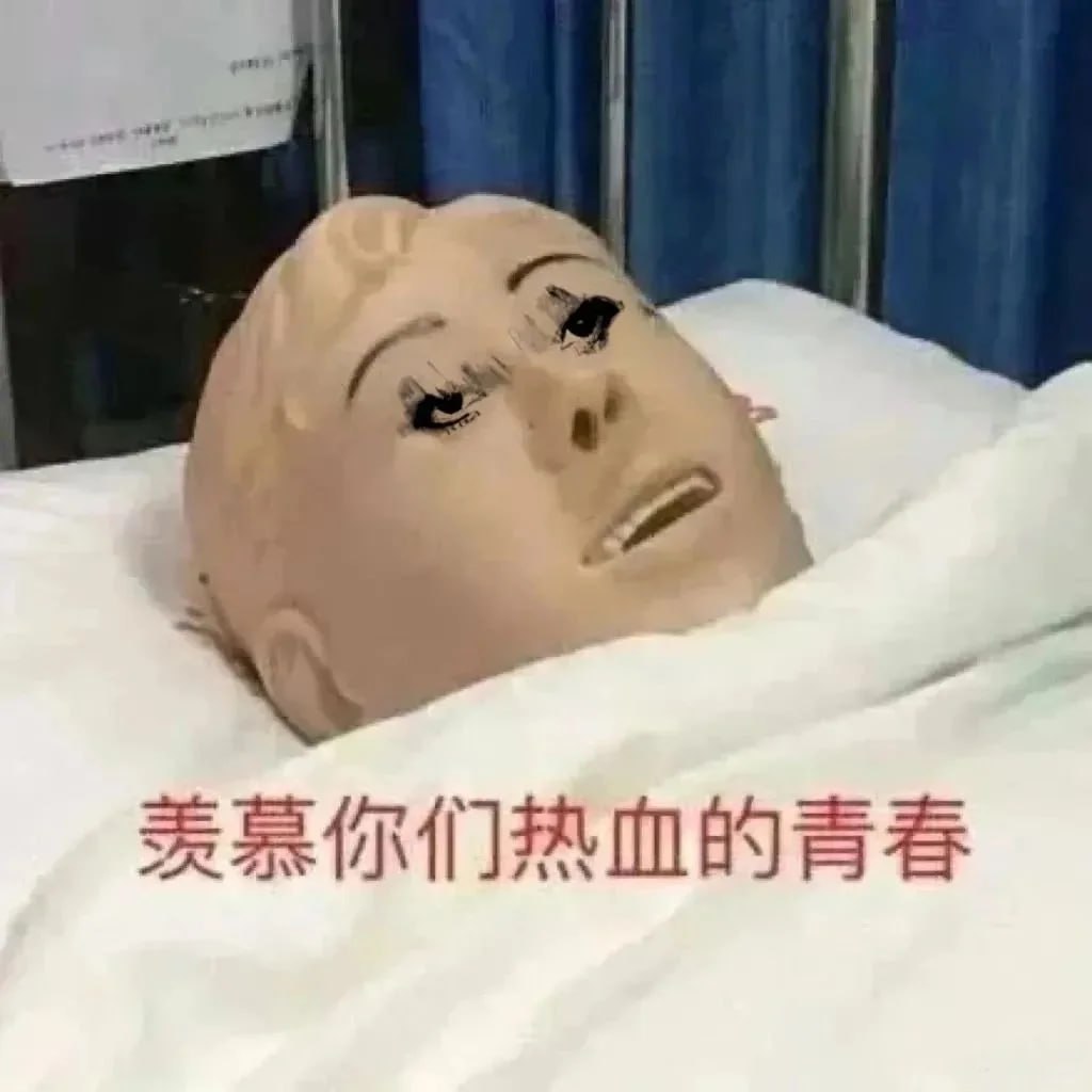 校园文 925本合集插图 校园文 925本合集