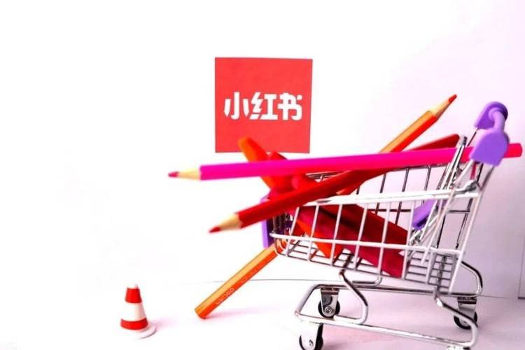 小红书开店卖货实战训练营,小红书入门到精通课,7天时间实现快速变现插图 小红书开店卖货实战训练营,小红书入门到精通课,7天时间实现快速变现