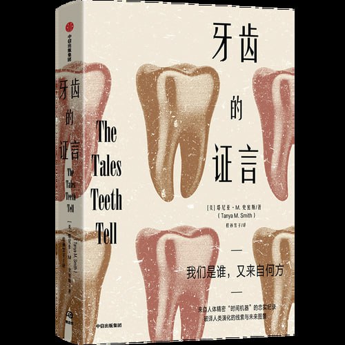 《牙齿的证言》 让牙齿开口说话,破解我们人类演化的奥秘!插图 《牙齿的证言》 让牙齿开口说话,破解我们人类演化的奥秘!