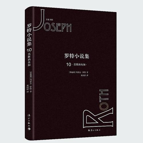 《罗特小说集》(套装共6册)插图 《罗特小说集》(套装共6册)