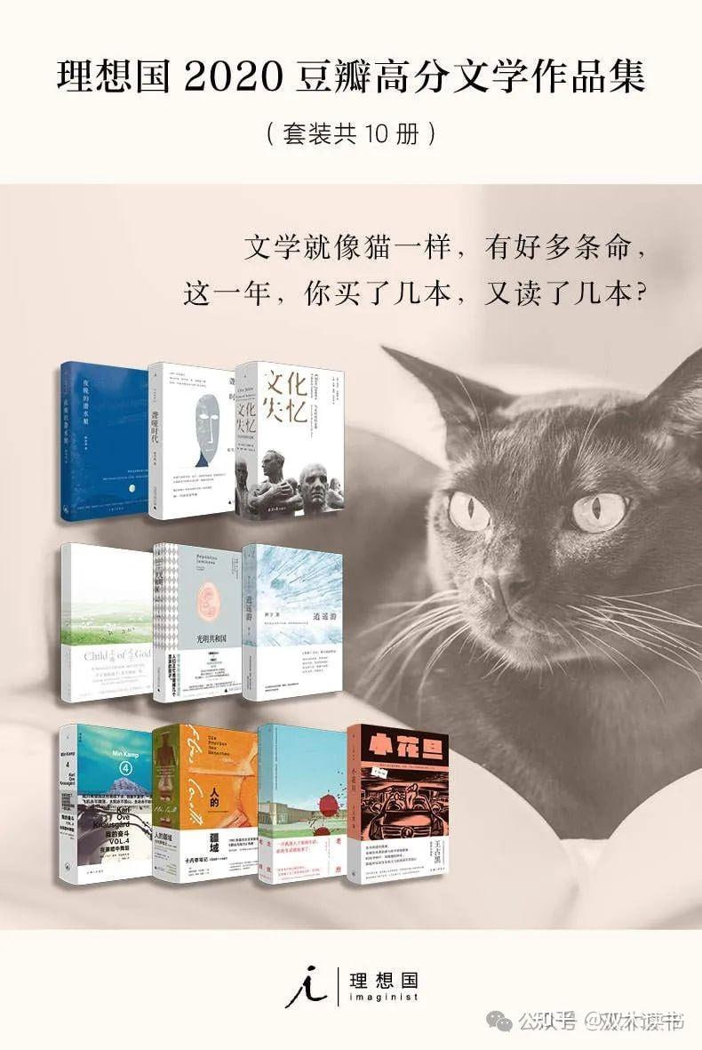 《理想国2020年豆瓣高分文学作品集》插图 《理想国2020年豆瓣高分文学作品集》