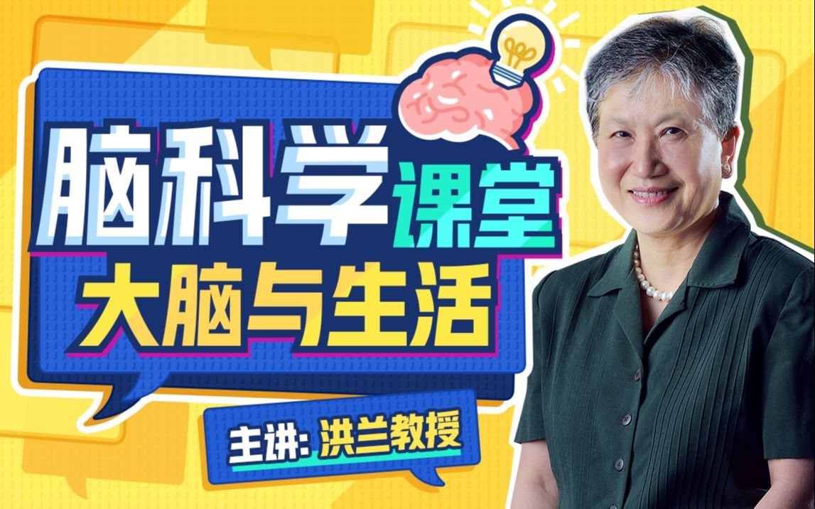 B站 – 洪兰脑科学课堂——大脑与生活插图 B站 - 洪兰脑科学课堂——大脑与生活