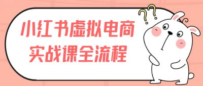 小红书虚拟电商实战课全流程插图 小红书虚拟电商实战课全流程