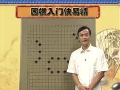 围棋入门快易精-王元围棋视频讲座插图 围棋入门快易精-王元围棋视频讲座