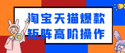 淘宝天猫爆款矩阵高阶操作插图 淘宝天猫爆款矩阵高阶操作