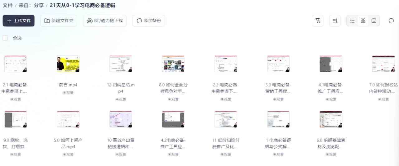 视频课程:21天从0-1学习电商必备逻辑插图 视频课程:21天从0-1学习电商必备逻辑