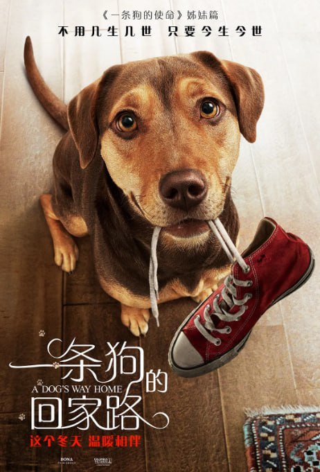 [一条狗的回家路][2019][英语中字][1080P][2.2G]