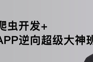 【路飞学城】爬虫开发+APP逆向超级大神班-01期 – 带源码课件插图 【路飞学城】爬虫开发+APP逆向超级大神班-01期 - 带源码课件