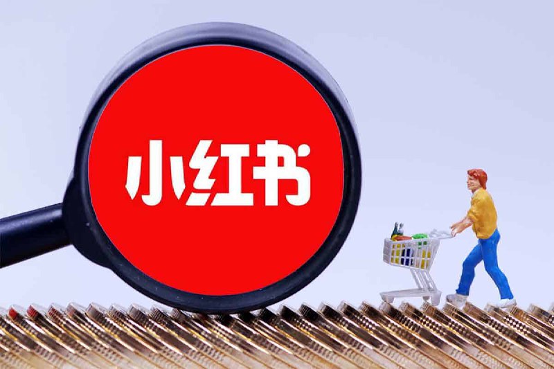 【小红书】电商实操课,小红书电商全流程插图 【小红书】电商实操课,小红书电商全流程