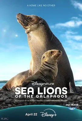 [海狮利奥环岛记] 2025 [英语中字][1080P]