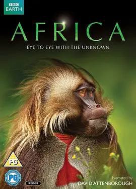 非洲 Africa (2013)插图 非洲 Africa (2013)