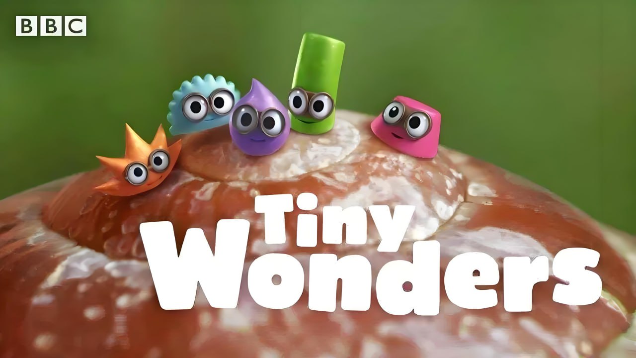 BBC少儿科普动画《小奇迹 Tiny Wonders (视频+音频) 》插图 BBC少儿科普动画《小奇迹 Tiny Wonders (视频+音频) 》