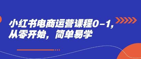 小红书电商运营课程0-1,从零开始,简单易学插图 小红书电商运营课程0-1,从零开始,简单易学