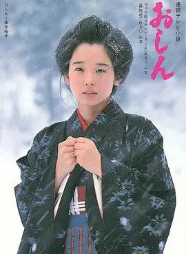《阿信:日本电视连续剧故事》(azw3+epub+mobi+pdf)插图 《阿信:日本电视连续剧故事》(azw3+epub+mobi+pdf)