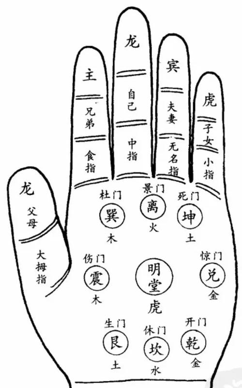 中医诊断课程|伏羲九宫观手72诊视频教程(高清版+中医学习资料+免费分享)插图 中医诊断课程|伏羲九宫观手72诊视频教程(高清版+中医学习资料+免费分享)
