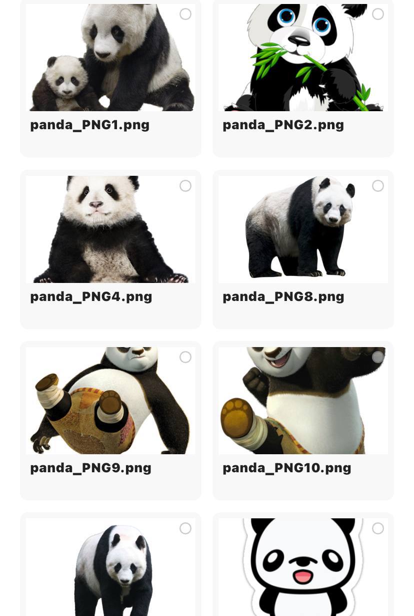 5000多张精美动物类免抠PNG素材合集